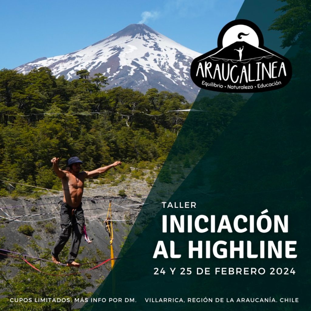 Araucalinea