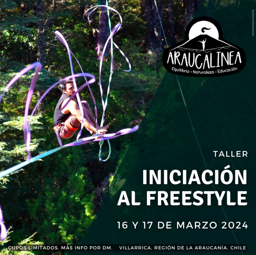 Araucalinea